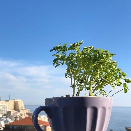בודווה Studio Apartments Kul מראה חיצוני תמונה