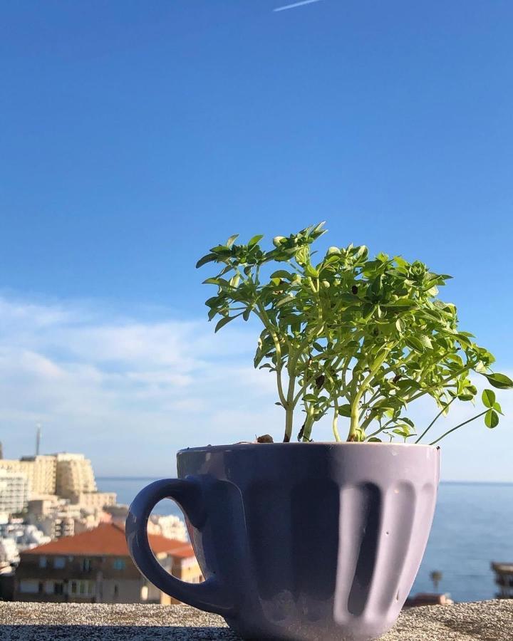 בודווה Studio Apartments Kul מראה חיצוני תמונה